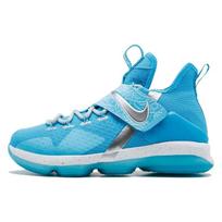 Nike LeBron 14 Ric Flair GS AA3258-404 40 mėlyna