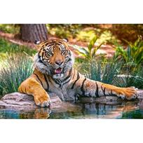 „Tiger“ „pasidaryk pats“ 5D deimantinis paveikslas, pilnas apvalus grąžtas, gyvūnas, deimantinis siuvinėjimas, kryžminio dygsnio cirkonio mozaika rankų darbo dovana Full Round 15x20cm