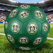 1pc Young Stars Fc Crest Soccer Balls Standard Size 5 Machine-Sports League Outdoor Match Football Training Ball Futbol VoetbalY070875 Size 5
