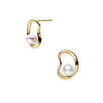 Kuma Earrings KM8A0163 PF [Official] [Vendome Aoyama] [Kengo + MA,YU] auksas