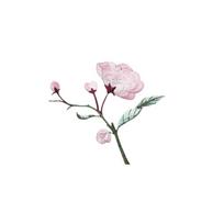 DIY Crafts Begonia Flower Embroidery Patches Handmade Clothes Sticker Clothes Appliques  Sewing pink-Style A