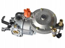 Lpg Cng Dual Function Carburetor 168F Generator Gx160 390
