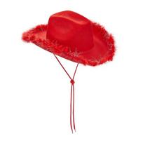 Furry Trim Jazz Hat Wide Brim Cowgirl Hat Classic Western Cowboy Hat  Stage Performance Style L