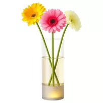 Stiklinė vaza su LED apšvietimu 10x27 cm