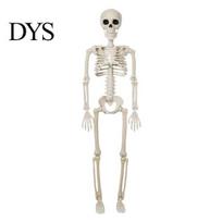 Realistic Human Skeleton for Secret Room Halloween Decoration, 3Ft Life Size Full Body Bone, Posable Heavy Duty Seasonal Display with Movable 1pc white