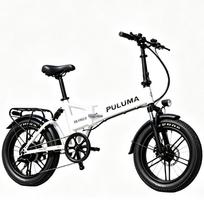 Puluma FM2.0 Sulankstomas Elektrinis Dviratis 20  Stori Padangos 750W Didžiausia Galia Pilnai Amortizuotas Suaugusiųjų Elektrinis Dviratis 7 Greičių Dvigubi Diskiniai Stabdžiai 48V 15Ah balta