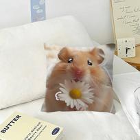 Funny Sad Hamster Emoticon   Pillow Cover Design cushion Cover decor Holiday Decorati 30x30cm
