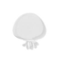 Coaster Moulds Ocean Creature Shaped for Epoxy Resin Casting Craft Decorations