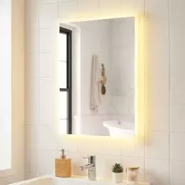 Costway 70x50 cm LED vonios veidrodis sidabrinis