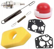 Briggs Stratton Repair Kit Filter Membrane Spring Pump