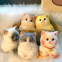 Cat Taba Squishy Sensory Stress Balls, Cute Simulated Cat Squeeze Fidget Toys for Anxiety & Relaxation 5PCS