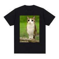Cat Owl Funny Meowl Meme Brainrot TShirts Unisexs Unisex Clothing Fashion Harajuku Short Sleeves TShirt Cotton Oversized T Shirts M