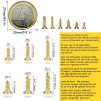 1200 vnt. Mažos vyrių medvaržčiai M2 M2.5 Smulkūs plokščia galvute sraigtai Asortimentas 5mm 6mm 7mm 8mm 10mm Mikro žalvariniai savisriegiai sraigtai Wi 1200PCS