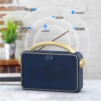 Philips TAR2768 Outdoor Radio & Bluetooth Speaker (CN version)