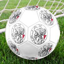 AFC Ajax Amsterdam Size 5 Soccer Ball, Machine-Stitched PVC, Durable & High Bounce, All Ages Fit, fan merchandise, matches & outdoor use.