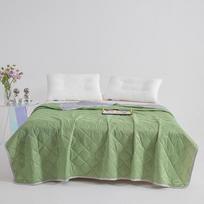 Summer Blanket For Bed Pure Color Air Condition Comforter Soft Breathable Cooling Blanket Lightweight Smooth Cold Feeling Quilt 100×150cm žalia