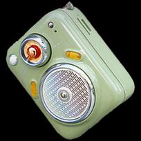 Divoom Beetle-FM Mini Portable Bluetooth Speaker CN plug (adapter included)