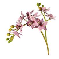 2 Fork Artificial Butterfly Orchid Flower Real Touch Simulation Plant  Garden Decoration rožinė