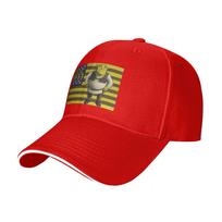 Shreks  USA Flag Adjustable Hat Spring Sports Cap Mens Womens  Hip Hop Baseball Cap Casual Outdoor Sunshade One Size