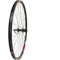 Galinis ratas 28/29" v-brake, 36H, kasetė, QR