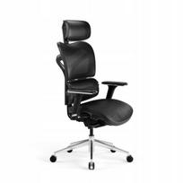 Ergonominė biuro kėdė DIABLO V-Commander, juoda