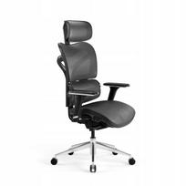 Ergonominė biuro kėdė Diablo V-Commander, juoda-pilka