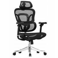 Biuro kėdė Flexispot ErgoX Max, juoda, ergonomiška, 300 kg, 4D, tinklinė