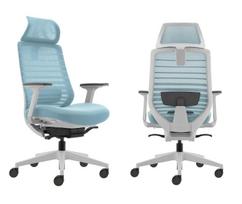 Ergonominė biuro kėdė su Kivi galvos atrama