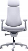 Ergonominė biuro kėdė LiberNovo Omni, pilka