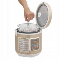 Juodųjų česnakų fermentatorius, 6 l, automatinis, 90 W