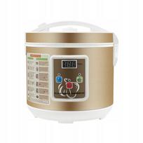 Juodosios česnako fermentavimo aparatas, 220–240V, 90W
