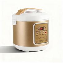5 l juodosios česnako fermentavimo aparatas, 90 W, automatinis