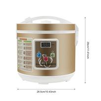 5 l juodojo česnako fermentatorius, 220 V, automatinis temperatūros reguliavimas