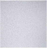 Plokštė luboms 600x600x12