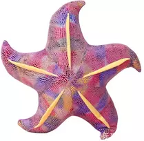 Lean Toys Pliušinis žaislas - jūrų žvaigždė, 45 cm