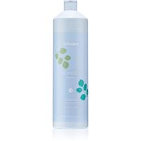 Echosline Balance+ Shampoo šampūnas sveikai plaukų odai 1000 ml