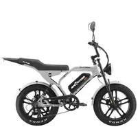 Elektrinis dviratis APE RYDER Mandrill Ultra Grey