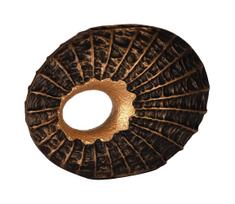 Eglo 421586 - SAKTI dekoracija, 29x40 cm, bronzinė