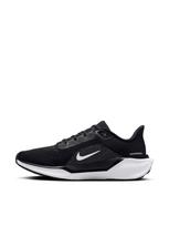 NIKE Laisvalaikio batai, Pegasus 41 FD2723-002