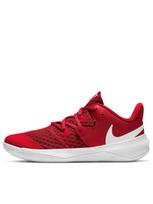 NIKE Laisvalaikio batai, W Zoom Hyperspeed Court CI2963-610
