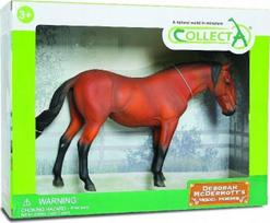 Luistiano Mare Bay arklys pakuotėje - Collecta