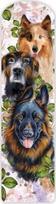 Tradiciniai knygų skirtukai Šunys - Henry