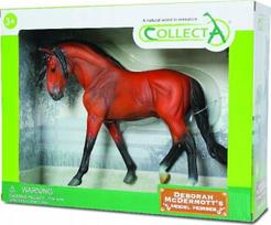 Ryškus įlankos Andalūzijos žirgas pakuotėje - Collecta