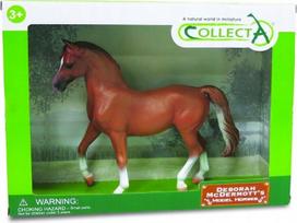Prabangus arabų kaštoninis žirgas 1:12 - Collecta