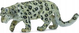 Sniego leopardas - 88496