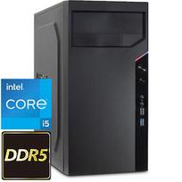 TopPC Intel Core i5 Gen12 (DDR5) Home & Business, Core i5-12400, GeForce RTX 5050, 1TB NVMe Gen4, no OS DATK293-1420624