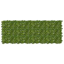 Balkono ekranas su lapais Žalia ir geltona 200 x 75 cm