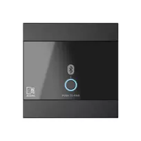 Sieninis Bluetooth modulis Audac WP220/B juodas