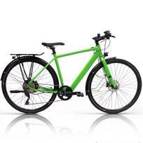Elektrinis Rabeneick TS-E 28" dydis 20" (50cm) (žalia)