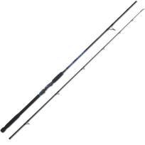 Jūrinis spiningas AQUANTIC Salt Shad² ilgis 245 cm testas 150g